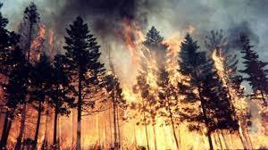Gli incendi boschivi e di interfaccia: piano regionale 2021-2025 e vademecum